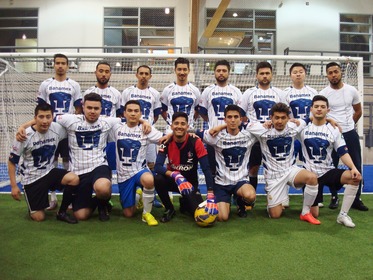Fc falcon
